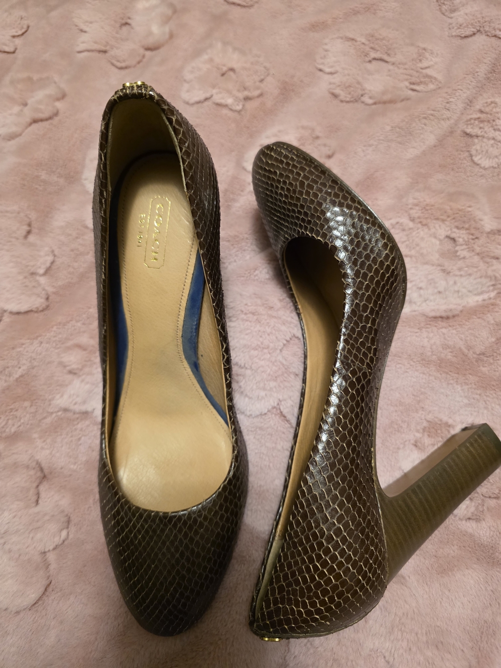Coach Brown Snake-Embossed High Heel Pumps